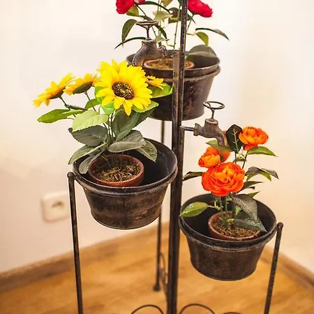 Old Town Peldu Apartment *